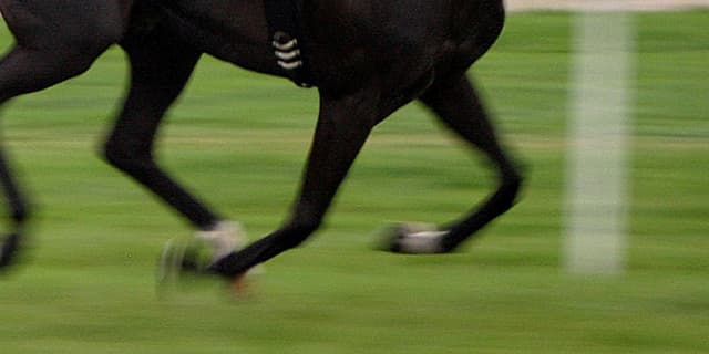 【武蔵野S2017】群雄割拠の一戦、カフジテイクの末脚炸裂なるか？！