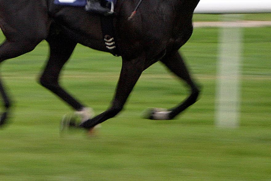 【武蔵野S2017】群雄割拠の一戦、カフジテイクの末脚炸裂なるか？！