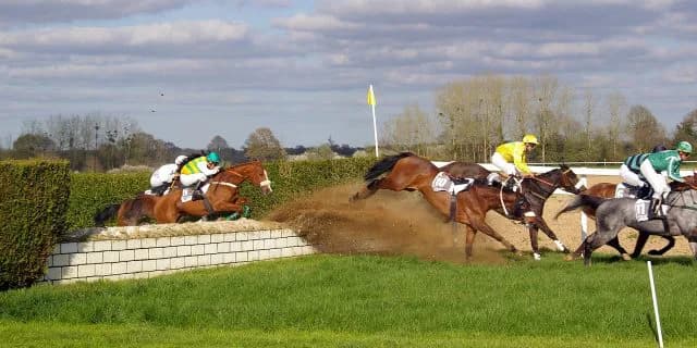 【東京ハイジャンプ2017考察】グッドスカイ、積み上げた絆と成長力はオジュウチョウサンにも負けないぞ！