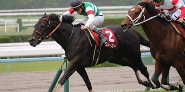 【富士ステークス2017予想】休み明け＆叩き2戦目でも大駆けが期待できる穴馬とは？！