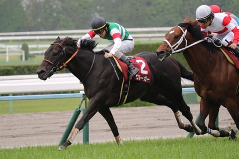 【富士ステークス2017予想】休み明け＆叩き2戦目でも大駆けが期待できる穴馬とは？！