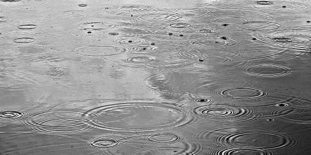 【アルテミスS予想2017】天候不順でもラッキーライラックの切れ味は鈍らないか？