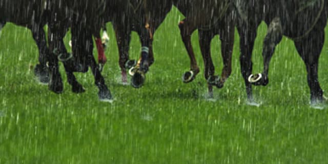 【菊花賞予想2017】稍重以上で開催された菊花賞の過去データから傾向を分析！