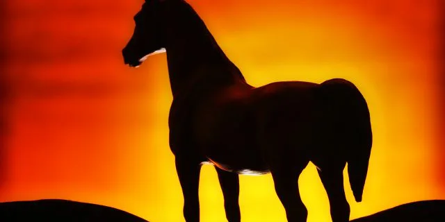 【注目新馬】夢が広がるチカリヨン、先々の狙いは凱旋門賞？