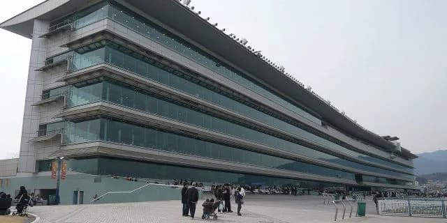 【チャレンジカップ2017予想】ブレスジャーニー結果の欲しい転厩2戦目