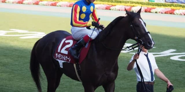 【ステイヤーズS予想2017】11歳馬のサイモントルナーレ、6度目の出走！今年は藤田菜七子騎手とのコンビで