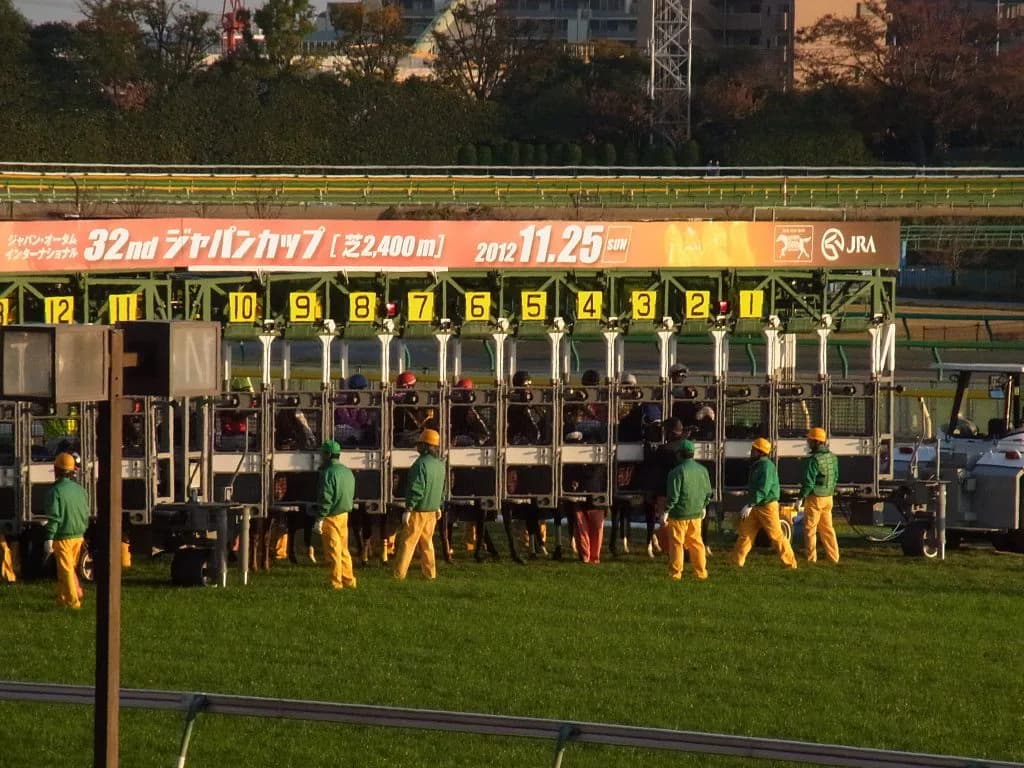 【ジャパンカップ2017予想】“ガラパゴス化”が進むジャパンカップの行末は？