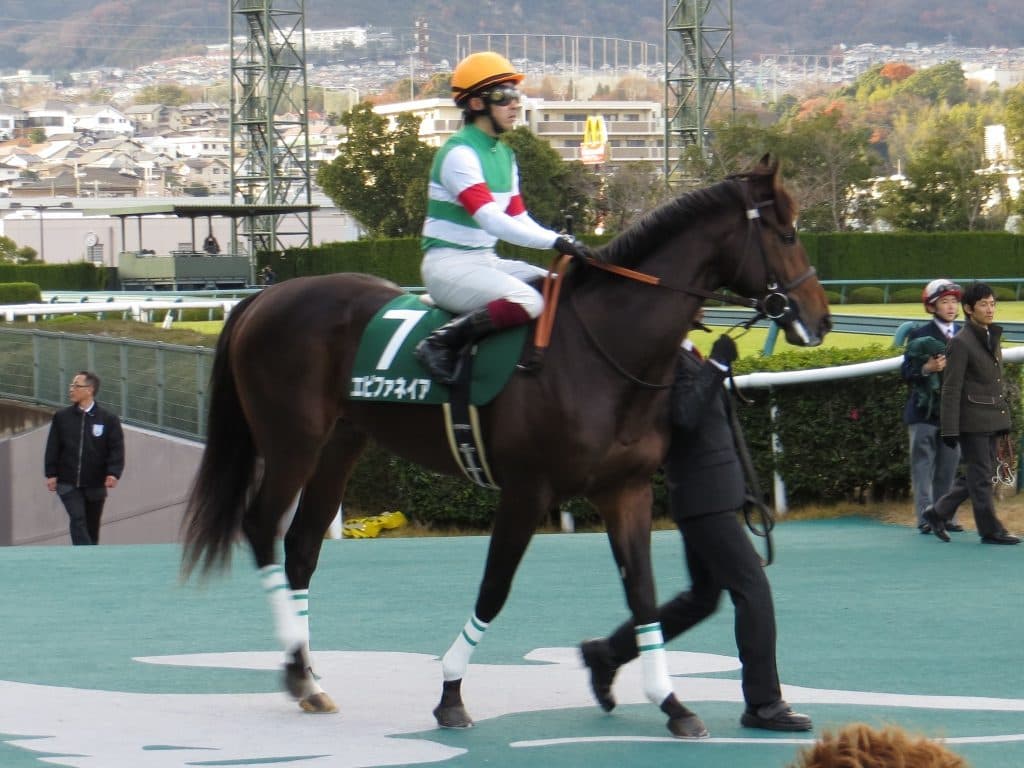 【注目新馬】同日の牝馬限定戦ではなく牡馬混合レースを選択した大物牝馬シーリア