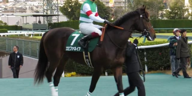 【注目新馬】同日の牝馬限定戦ではなく牡馬混合レースを選択した大物牝馬シーリア