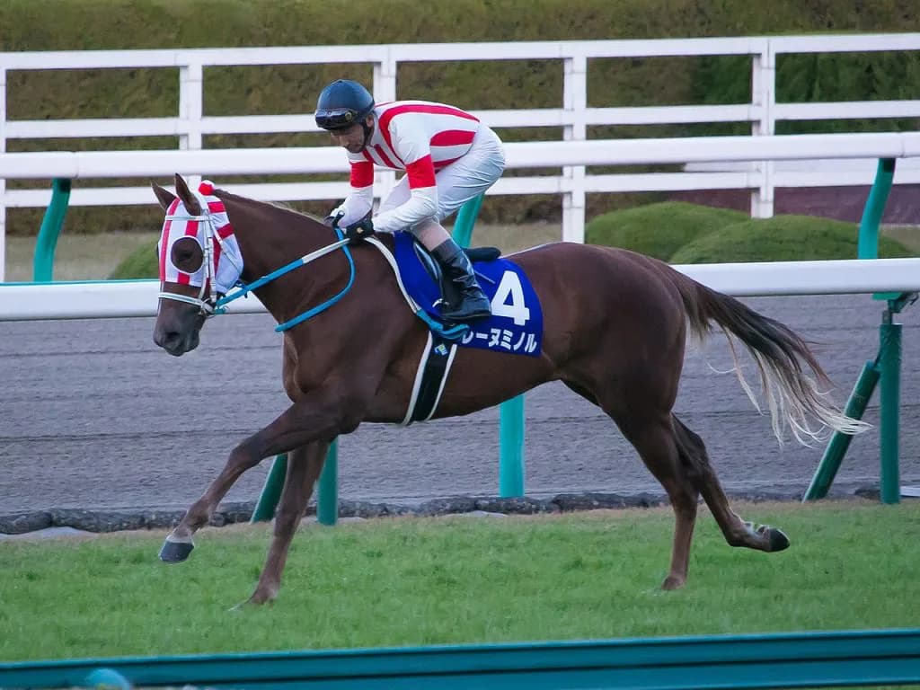 【阪神カップ2018予想】余力たっぷりのレーヌミノル！桜花賞馬の意地見せれるか？