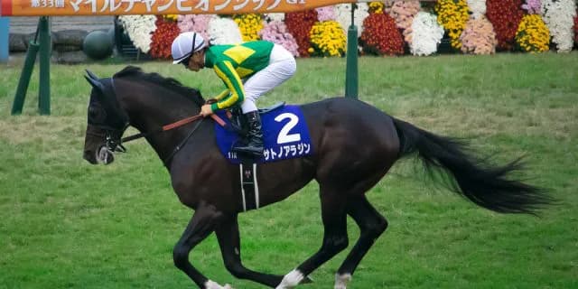 【香港マイル予想2017】サトノアラジンは香港マイルがラストラン、引退レースで有終の美を飾ることはできるのか？