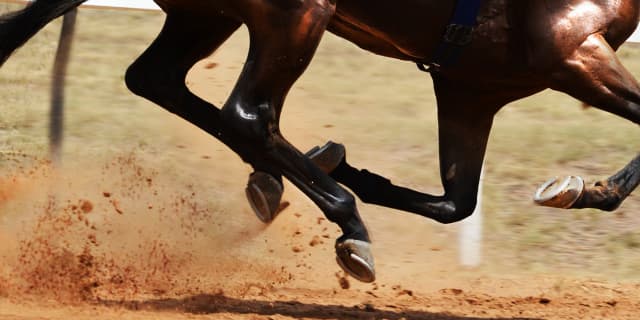 【レパードS予想2020】ダートで花咲くか、夢の三冠馬配合ラインベック