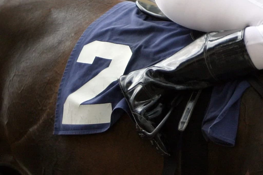 【ファンタジーS予想2022】2歳女王決定戦の前哨戦！アロマデローサやブトンドールなど出走予定馬を考察