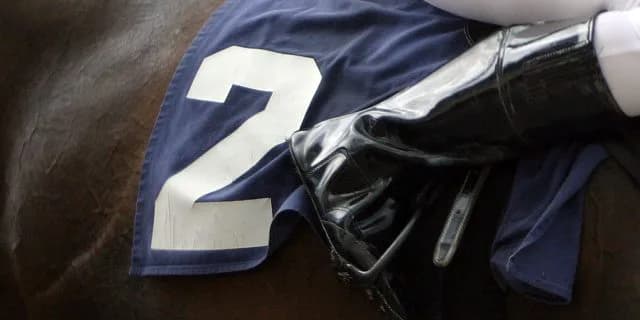 【函館2歳S予想2022】2歳重賞開幕！クリダームやスプレモフレイバーなど出走予定馬を考察