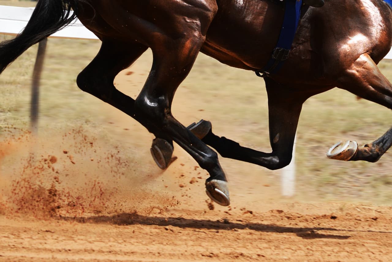【レパードS予想2020】ダートで花咲くか、夢の三冠馬配合ラインベック