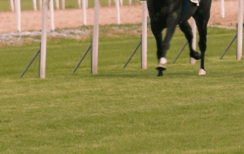 【ファンタジーS予想2017】コーディエライト、近2戦は逃げの一手でパフォーマンス向上。巻き返しに期待！