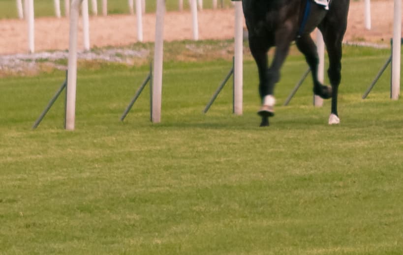 【ファンタジーS予想2017】コーディエライト、近2戦は逃げの一手でパフォーマンス向上。巻き返しに期待！