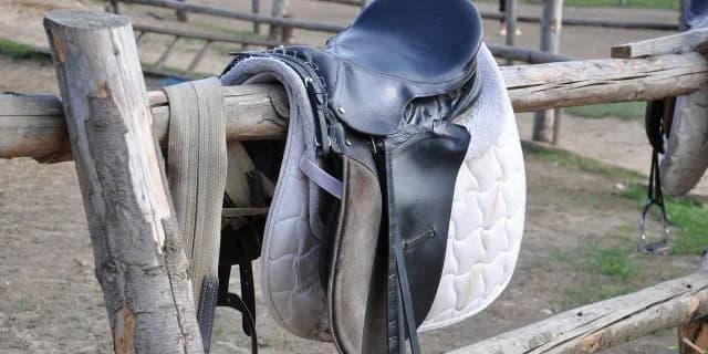 ソウルスターリングはジャパンCへ、鞍上は調整中