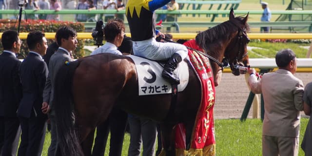 【ジャパンC2017】マカヒキ復活？！ジャパンCでダービーの“呪縛”を破れるか？