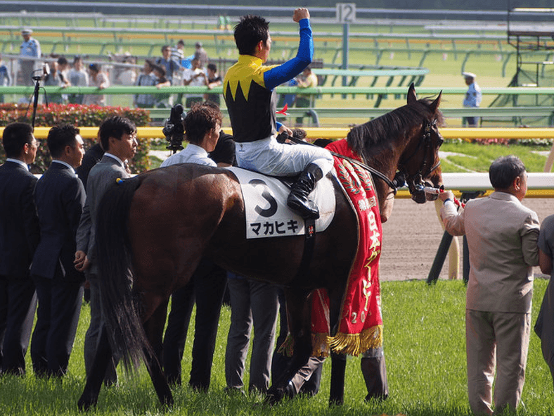 【ジャパンC2017】マカヒキ復活？！ジャパンCでダービーの“呪縛”を破れるか？