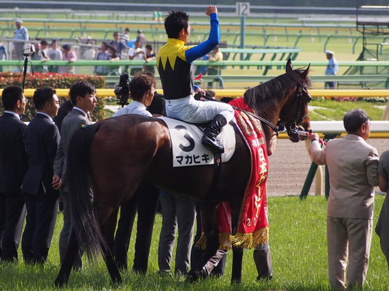 【ジャパンC2017】マカヒキ復活？！ジャパンCでダービーの“呪縛”を破れるか？