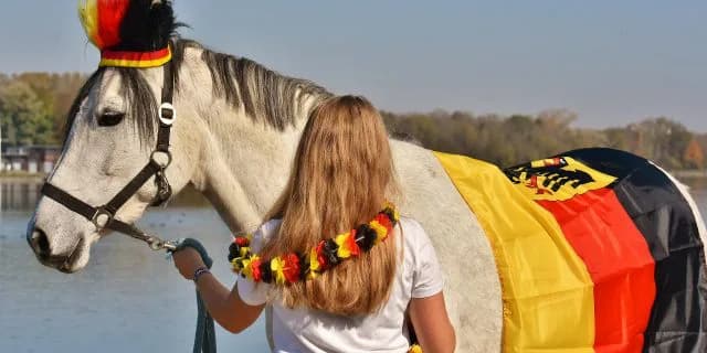 【ジャパンカップ2017予想】今年の外国馬4頭を考察、アイダホ、ブームタイムらは買えるのか？