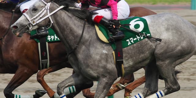 【エリザベス女王杯2017】スマートレイアーに好機？！時計がかかるコンディションはチャンスか？