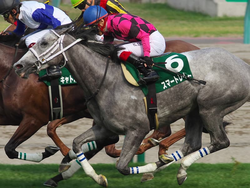 【エリザベス女王杯2017】スマートレイアーに好機?!時計がかかるコンディションはチャンスか?