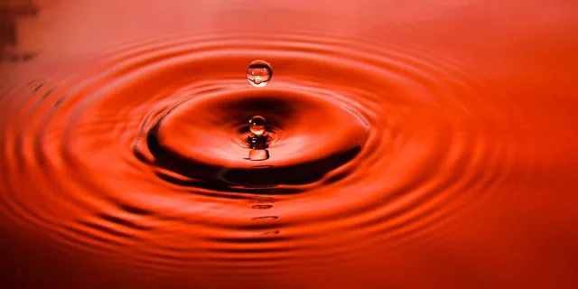 【ジャパンカップ】惨敗続く海外勢にアイダホが一石を投じる存在となるか