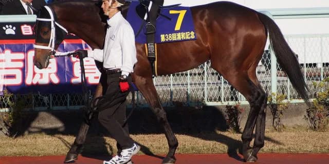 【ベテルギウスS予想2017】急成長を遂げたマイネルバサラに期待！