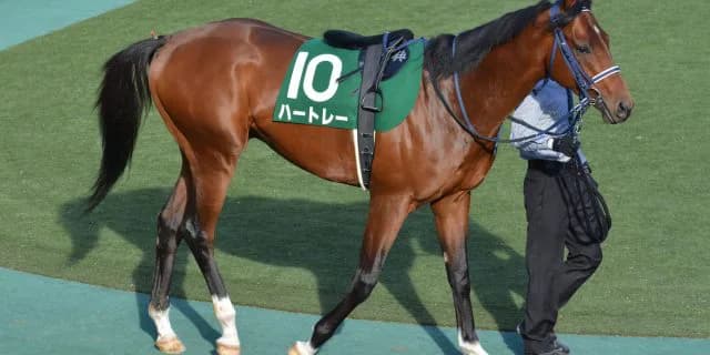 【ディセンバーS2017予想】ホープフルS勝ち馬ハートレーが約2年ぶり生まれ変わって復帰！