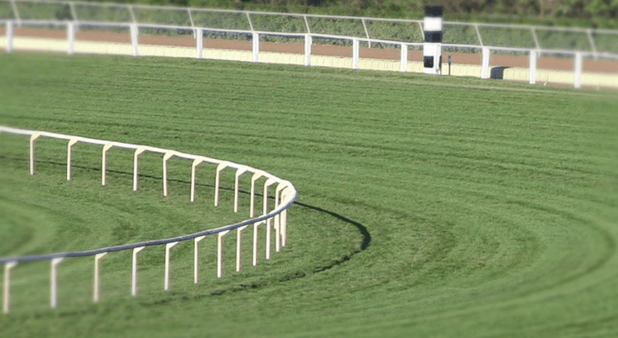 【朝日杯FS予想2017】武豊✕アサクサゲンキ、距離延長が課題