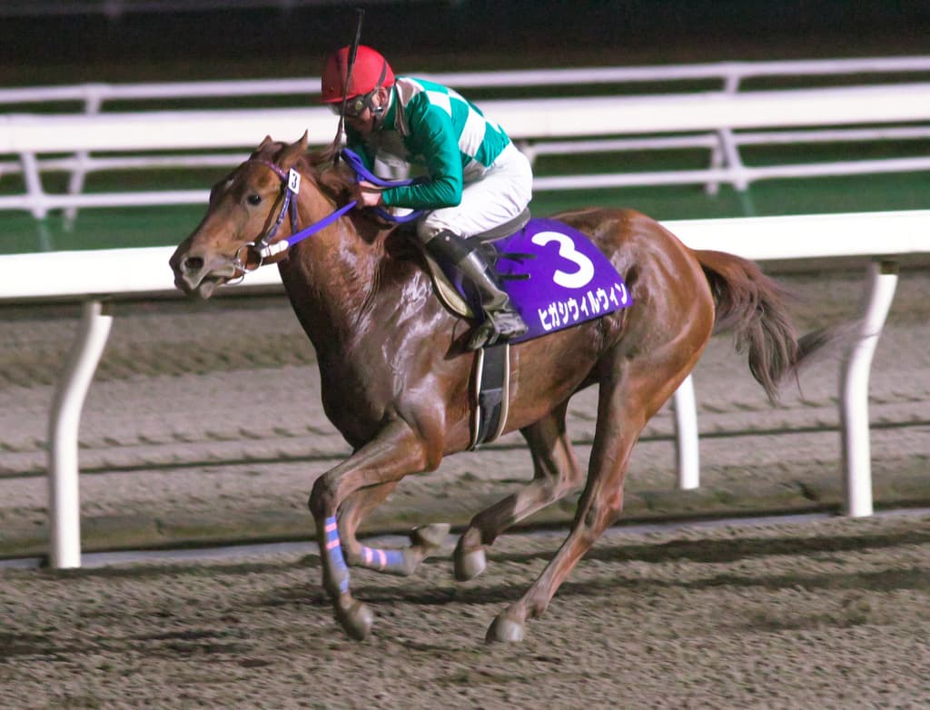 【東京大賞典予想2017】12年ぶりの地方所属馬Vとなるか？地方競馬の“エース”が2017年最後のG1に挑む！