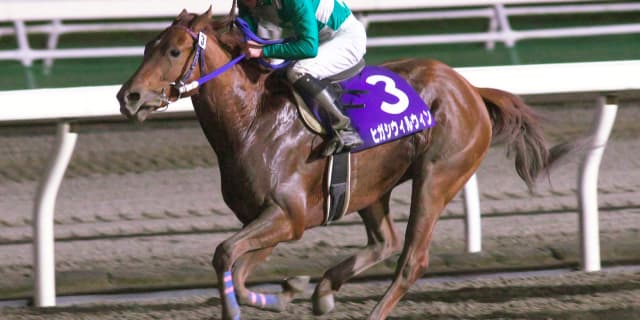 【東京大賞典予想2017】12年ぶりの地方所属馬Vとなるか？地方競馬の“エース”が2017年最後のG1に挑む！