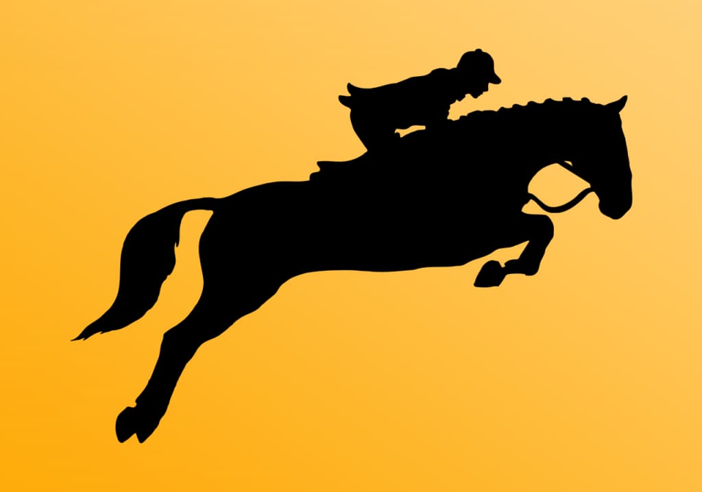 JRA東京ジャンプS（2021）の“本命”と“対抗”はこの馬だ！