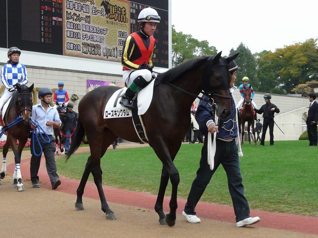【クロッカスS予想2018】ローズキングダムから大物誕生なるか？