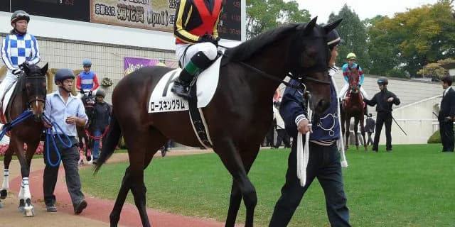 【クロッカスS予想2018】ローズキングダムから大物誕生なるか？