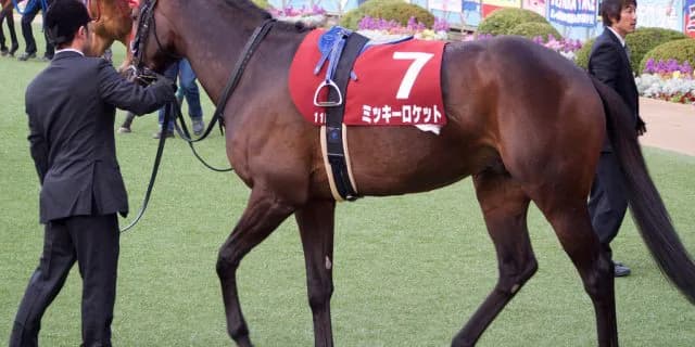 【日経新春杯予想2018】ミッキーロケット断然か、焦点は相手探し