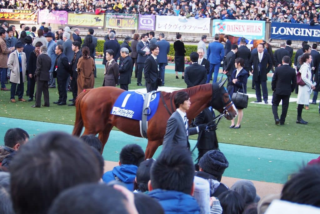 【英キングジョージ予想2019】7歳馬には厚すぎる壁、うちやぶれるかシュヴァルグラン