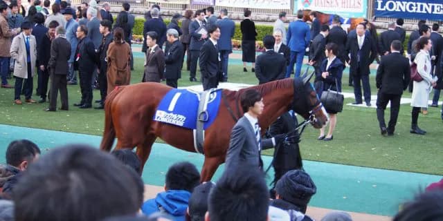 【英キングジョージ予想2019】7歳馬には厚すぎる壁、うちやぶれるかシュヴァルグラン