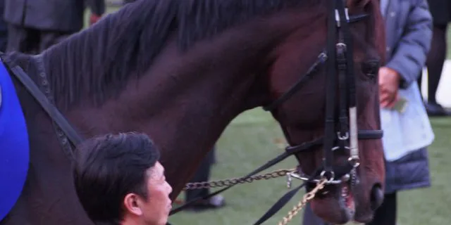 キタサンブラック初年度産駒が誕生、早ければ21年夏デビュー