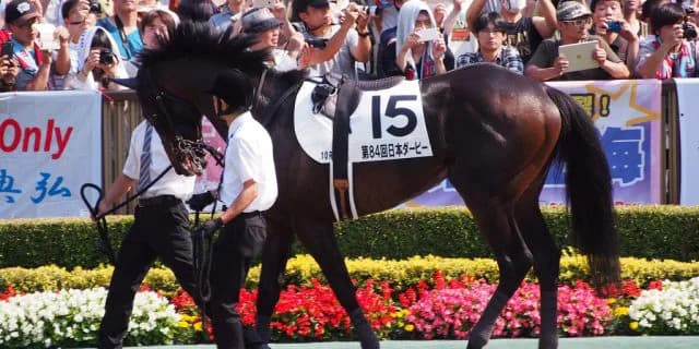 【中山金杯予想2018】ダイワキャグニー、“右回り”の克服が鍵か？