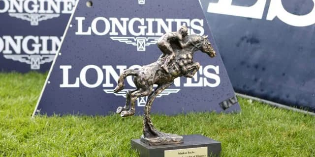 2018年度ロンジンワールドベストレースホースランキング発表。クラックスマンとウィンクスが同率1位