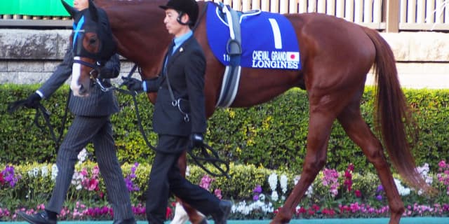 【有馬記念2018予想】シュヴァルグラン、早めの仕掛けの意識が必要か