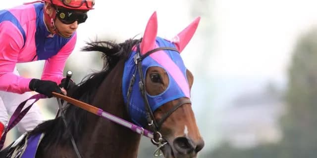 【JRA】メイショウマンボが死亡、産後出血の症状が悪化