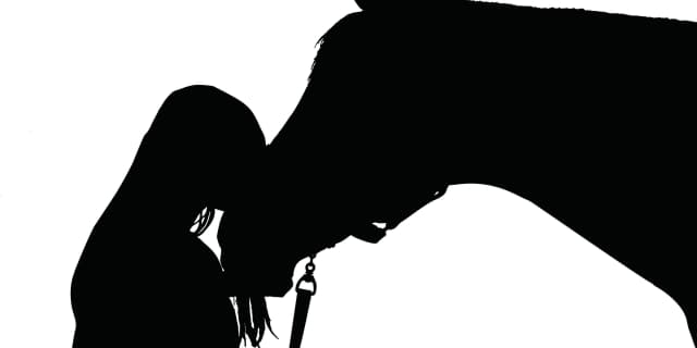 トレヴの凱旋門賞連覇を果たした女性調教師のクリスチャン・ヘッド調教師が引退