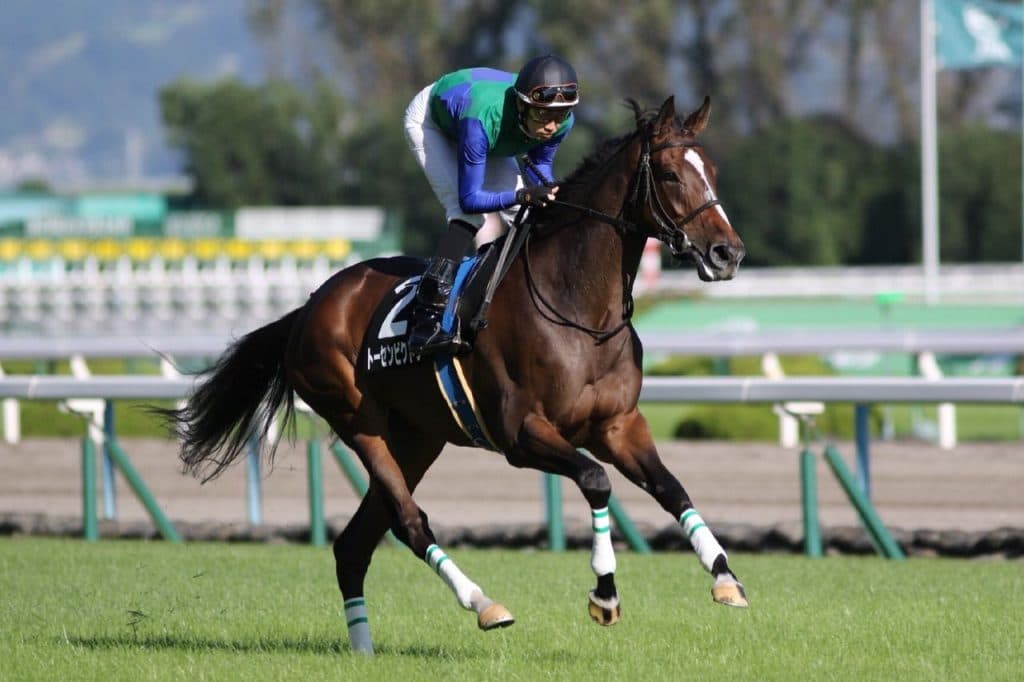 【AJCC予想2018】紅一点のトーセンビクトリー、適距離で巻き返しに期待！