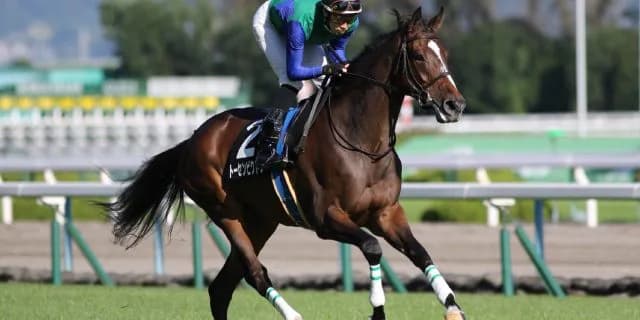 【AJCC予想2018】紅一点のトーセンビクトリー、適距離で巻き返しに期待！