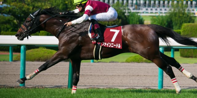 ファインニードル引退、種牡馬に