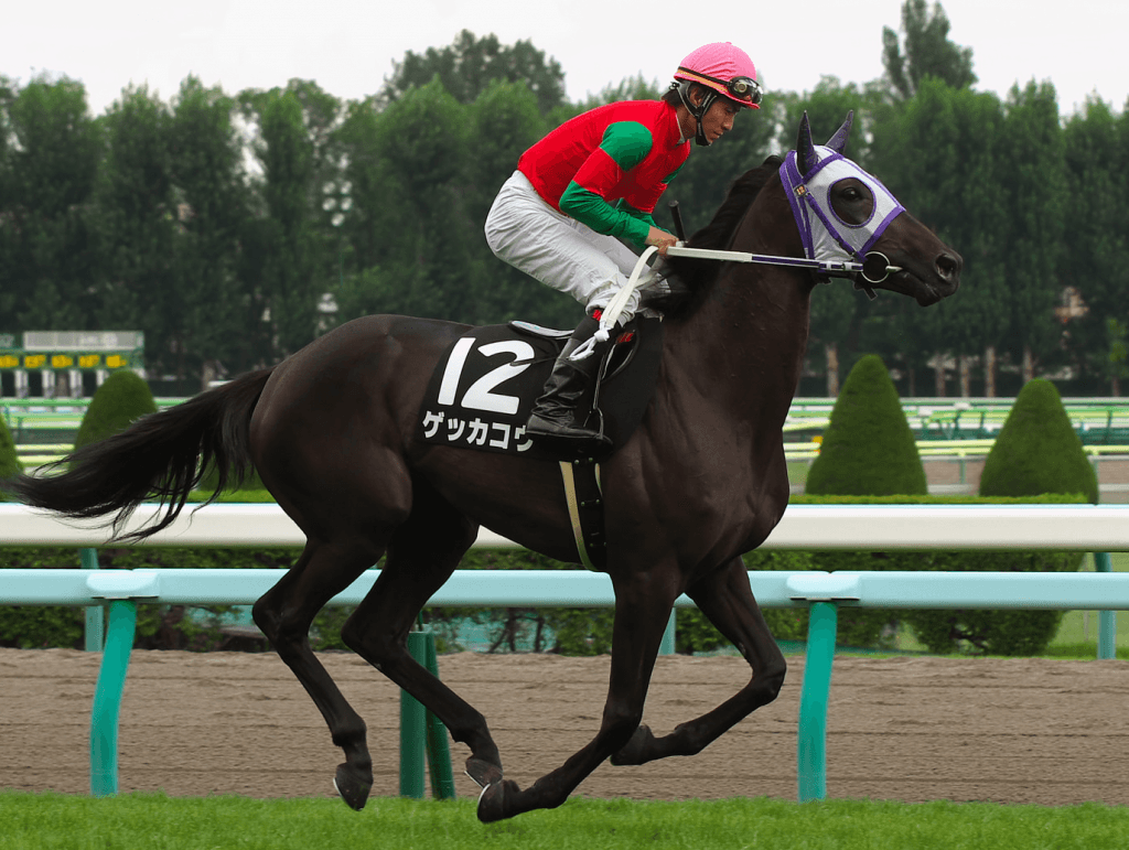 【愛知杯予想2018】ゲッカコウ、武器のロングスパートで重賞獲りへ